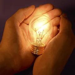 Professional Electrical Services